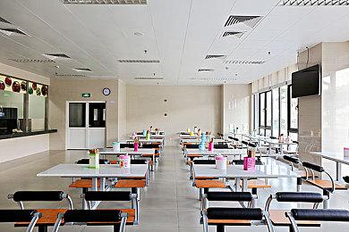 《宝可梦：朱紫》特别事件3月31日上线 最强大剑鬼袭来